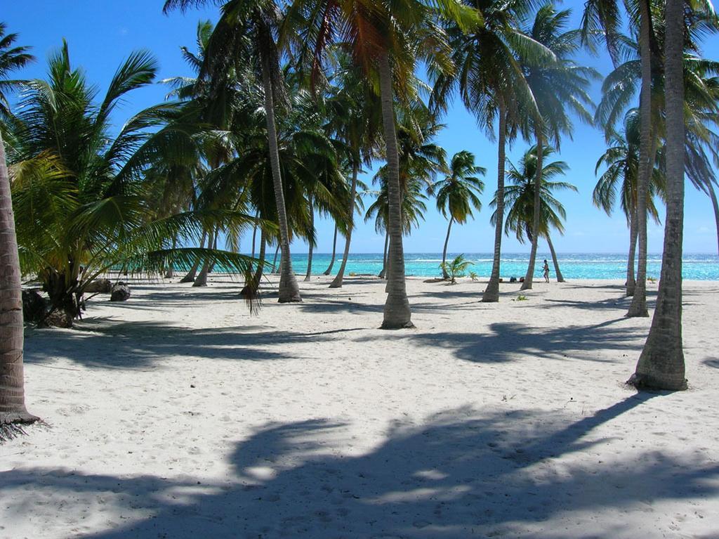 Caraibidamari Hotel บายาฮิเบ ห้อง รูปภาพ